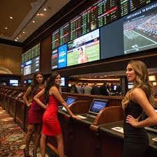 Sportsbook လောင်းကြေး my98